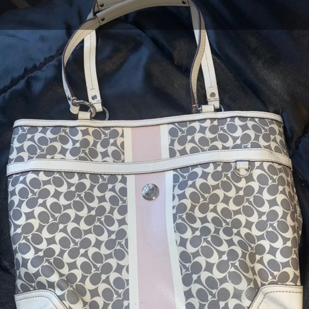 Coach Chelsea Heritage Stripe bag